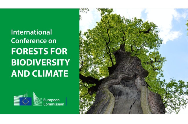 Forests for biodiversity and climate_0.png