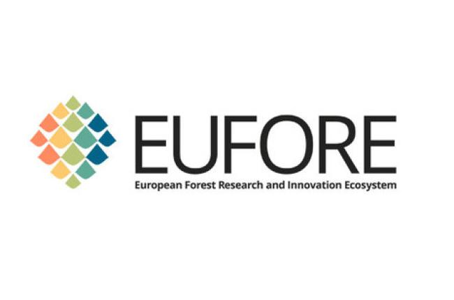 Eufore