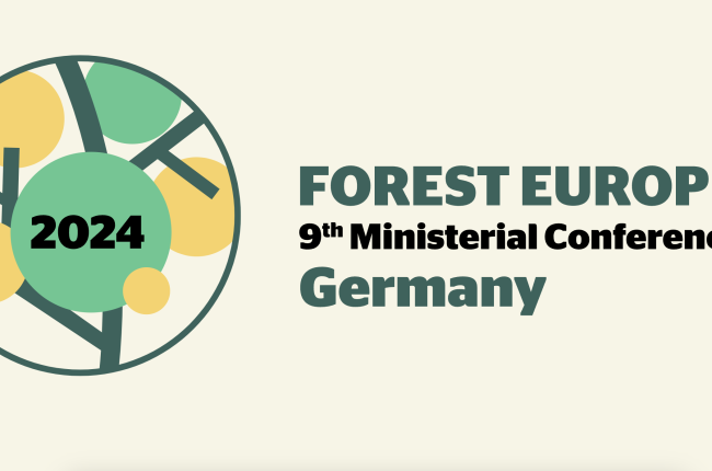 Forest Europe 9th MC