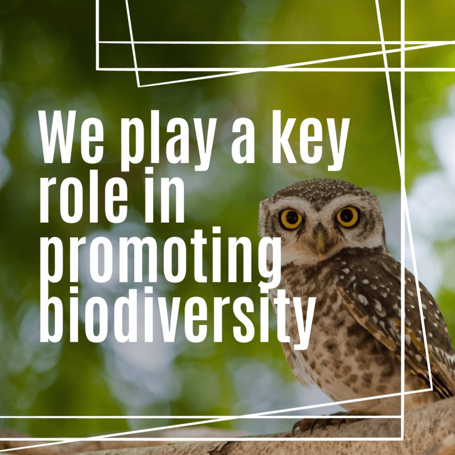 We play a key role in promoting biodiversity
